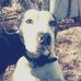 Katelyn Ferris - Facebook
