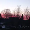katelynfischer373 - @katelynfischer373 - TikTok