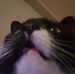 Kaitlyn Fleming - Facebook