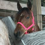 Katelyn Fleming - @katelynfleming716 - Instagram