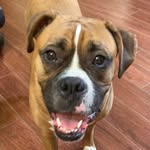 Katelyn Flick - @katelyn_flick - Instagram