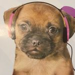 Katelyn Foley - @foley2055 - Instagram