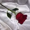 katelynforres.t - @katelynforres.t - TikTok