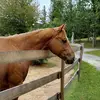 Katelyn Fraser - @katelyn.fraser4 - TikTok