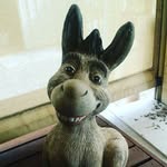 katelyn fraser - @katelyn_16_fraser - Instagram