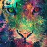 katelyn french - @frenchkatelyn - Instagram