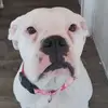 katelynnfrench102 - @katelynnfrench102 - TikTok