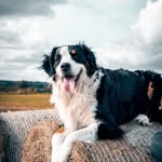 Katelyn Frey - @katelynfrey334063 - Instagram