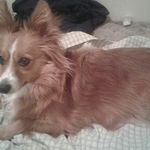 katelyn funk - @katelyn_cowgirl_twd - Instagram