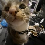Katelyn Gaffney - Facebook