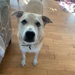 @katelyn_gagnon27 - Instagram