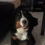 Katlyn Gaines - Facebook
