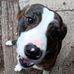 Katelyn Gale - Facebook