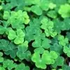 Katelyn Gallagher - @katelyn.gallagher0 - TikTok