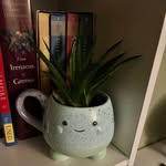 Katelyn Gallagher - @kboswel2 - Instagram