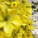 Kaitlyn Gallant - @kaitlyns_drawings04 - Instagram