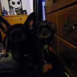 Katelyn Gardner - @lovemybaby_08 - Instagram