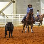 Katelyn Wilson Gardner - @kw_gardner19 - Instagram