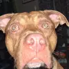 Katelynn gardner - @gardner.03 - TikTok