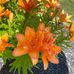 Katelyn Gauthier - Facebook