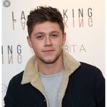 niall horan number 1 fan xxxx - @gavin_katelyn - Instagram