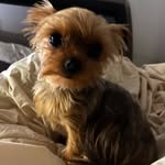 Kaitlyn Geiger - @kaitlyngeiiger - Instagram