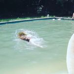 katelyn gerber - @gerber.katelyn - Instagram
