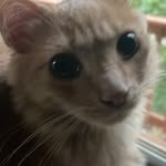Katelyn Gifford - @ka_telyn7199 - Instagram