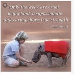 Katelynn Gifford - @veggie4_life - Instagram