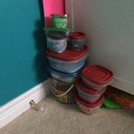 Katelyn Gilmore - @slimeyfun7 - Instagram