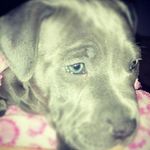 katelyn nikol greer - @katelynnikolg - Instagram