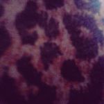 Katelyn - @hackettkatelyn947 - Instagram