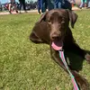 kate - @katelyn.hammer - TikTok