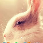 katelyn miley linny rosenow - @mileykatelyn - Instagram