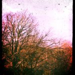 Katelyn Rivera - @photography_n_stuff - Instagram