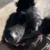katelynrivera - @katelynrivera - TikTok