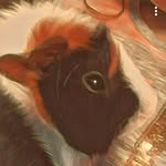 Katelyn Sisson - @sissonkatelyn - Instagram