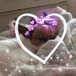 Katelynn Sisson - @beunka2019 - Instagram