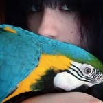 Katelynn Beck - @k_the_metalhead - Instagram
