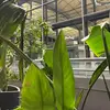 Kath Brown - @kath.brown5 - TikTok