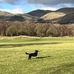 Kath Brown - Facebook