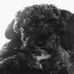 Kath Carter - Facebook