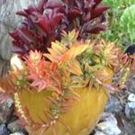 Kath Carter - @kath6635 - Instagram