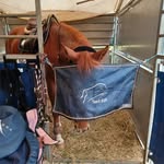 Katharina Schmidt-Gentner - @kathi_sgr_ - Instagram