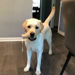 Katharine Griffith - @katharineg06 - Instagram