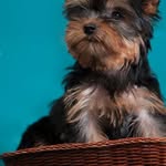 katharine mann - @katharinemann4 - Instagram