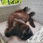 Katharine Perry - @katharine.perry.18 - Instagram