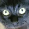 Katharine Wright - @kittyroca - TikTok