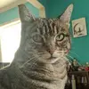 katharinewright66 - @katharinewright66 - TikTok