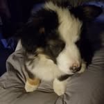 Kathee Smith - @adventureswithcascout - Instagram